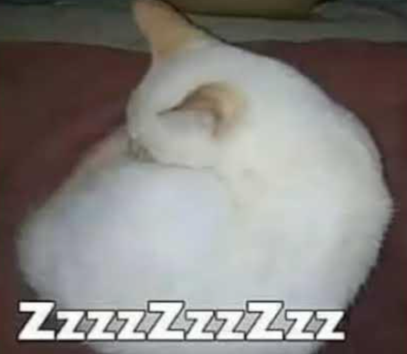 Updated my website (finally)